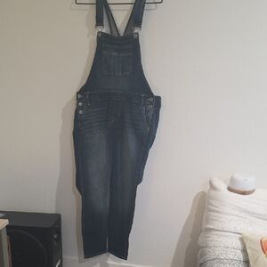 Torrid Blue Denim Overalls